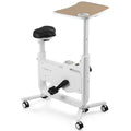 SHINEOFI Exercise Bike with Desk All-in- Desk Bike Stationary, Adjustable Resistance Indoor Workstation Bike 264 LBS Heavy Duty Magnetic Exercise Bike for Home Office
